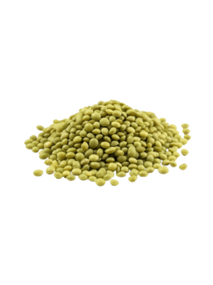 Green lentil