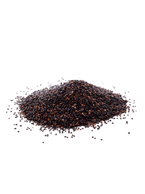 Canola