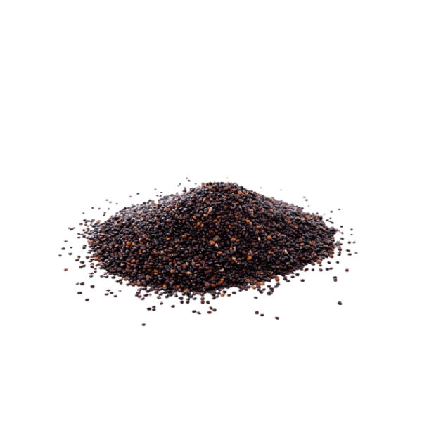 Canola