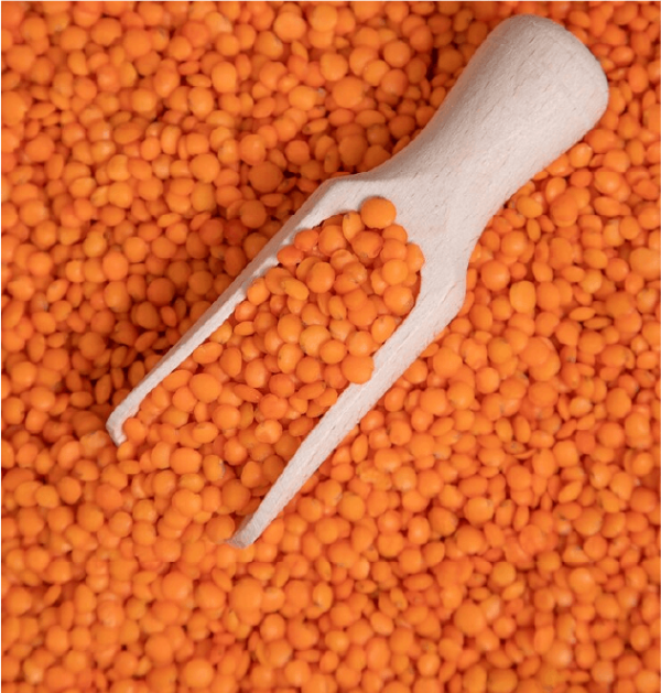 Red lentils - Image 2